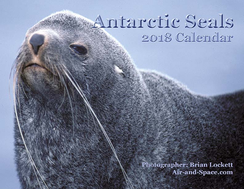 Lockett Books Calendar Catalog: Antarctic Seals